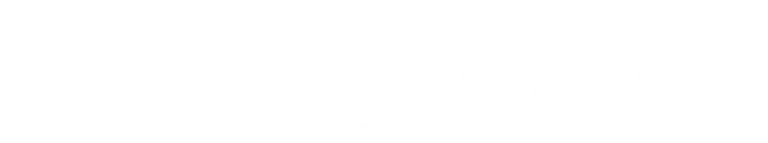 Dansk Vagt logo